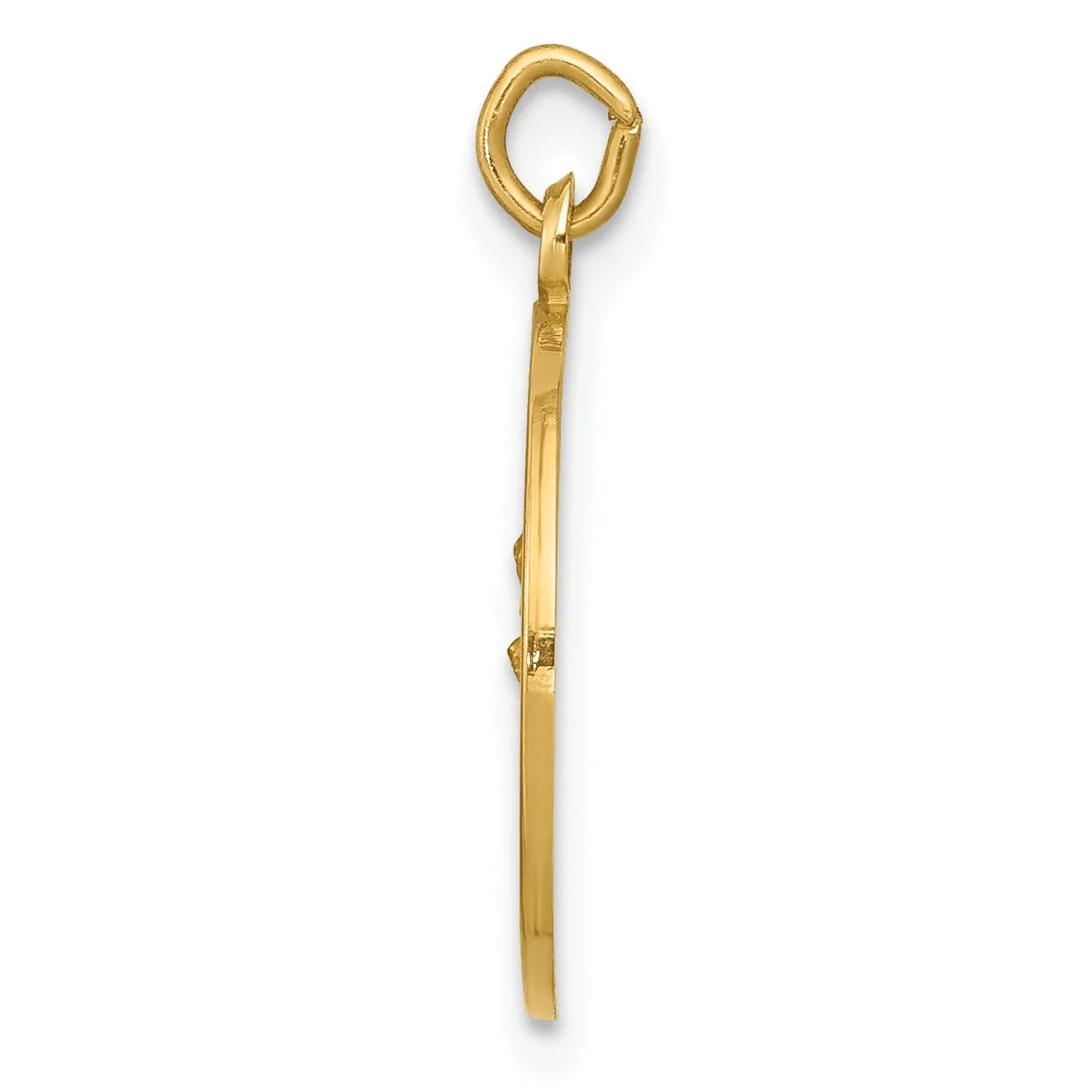 14k Yellow Gold Our Lady of Perpetual Help Medal