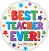 18" Best Teacher Ever