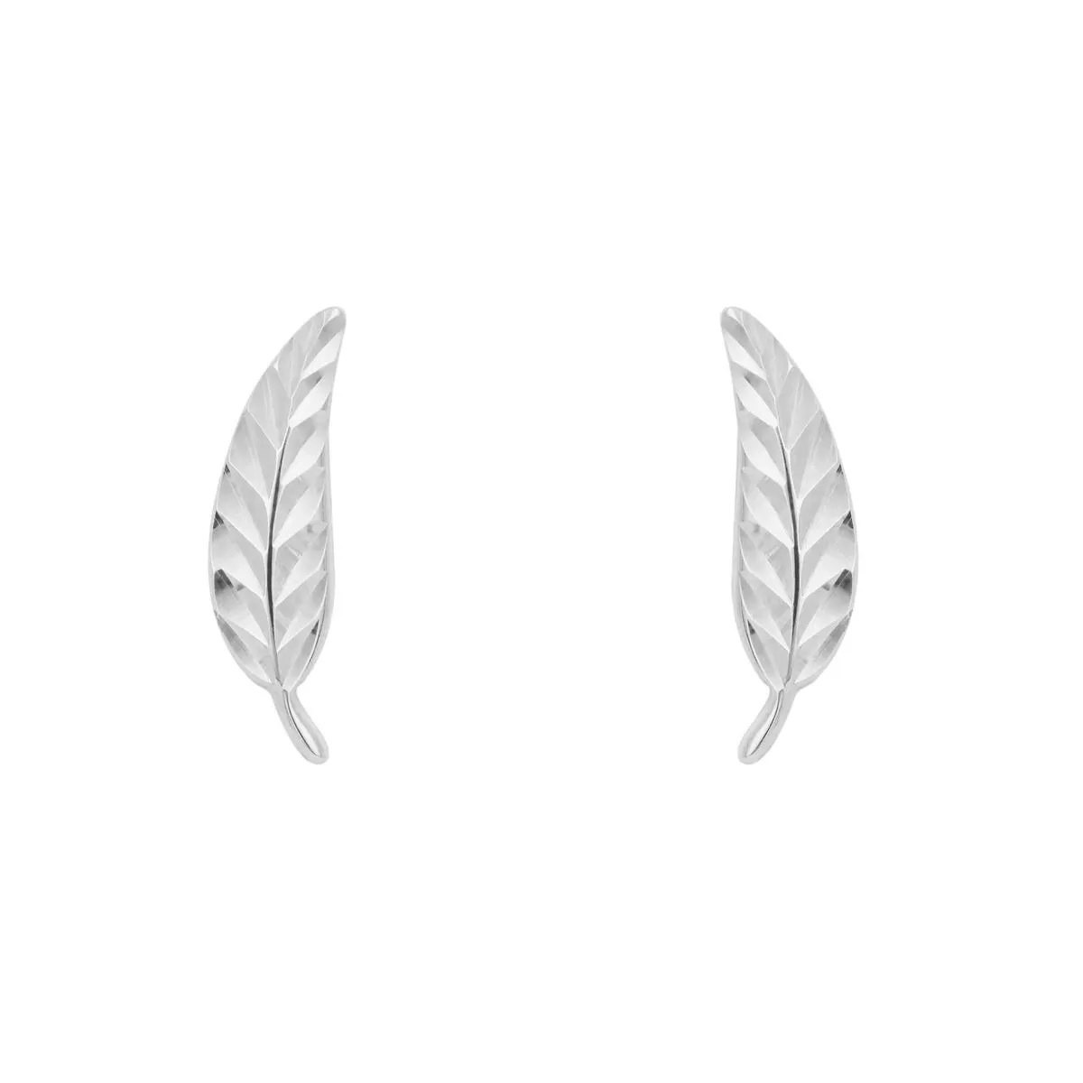 9ct White Gold Feather Stud Earrings