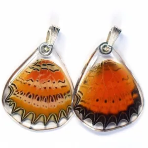 Butterfly wing pendant ONLY, Cethosia Biblis Biblis, bottom wing