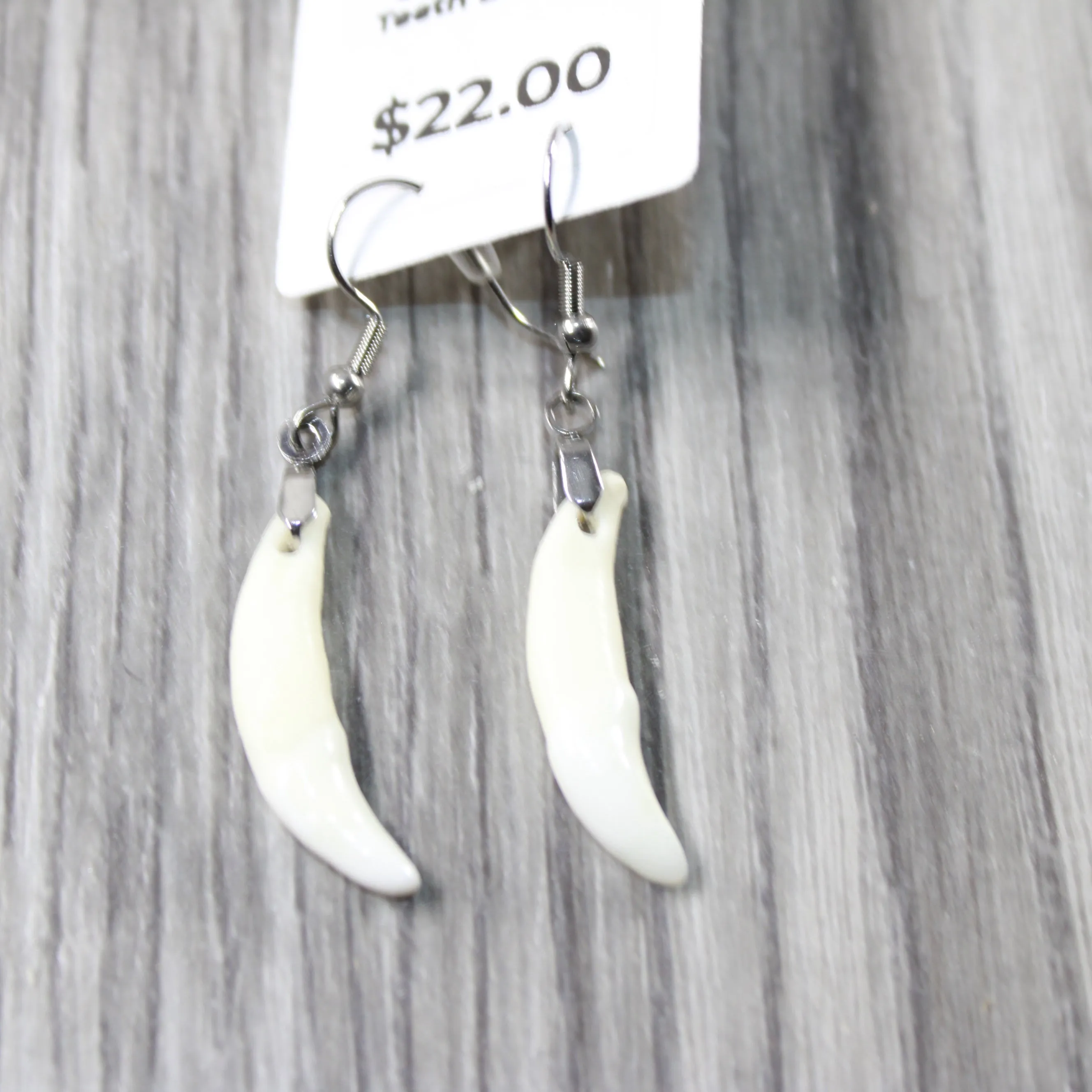 Coyote Teeth Earrings  #6151  Mountain Man Earrings