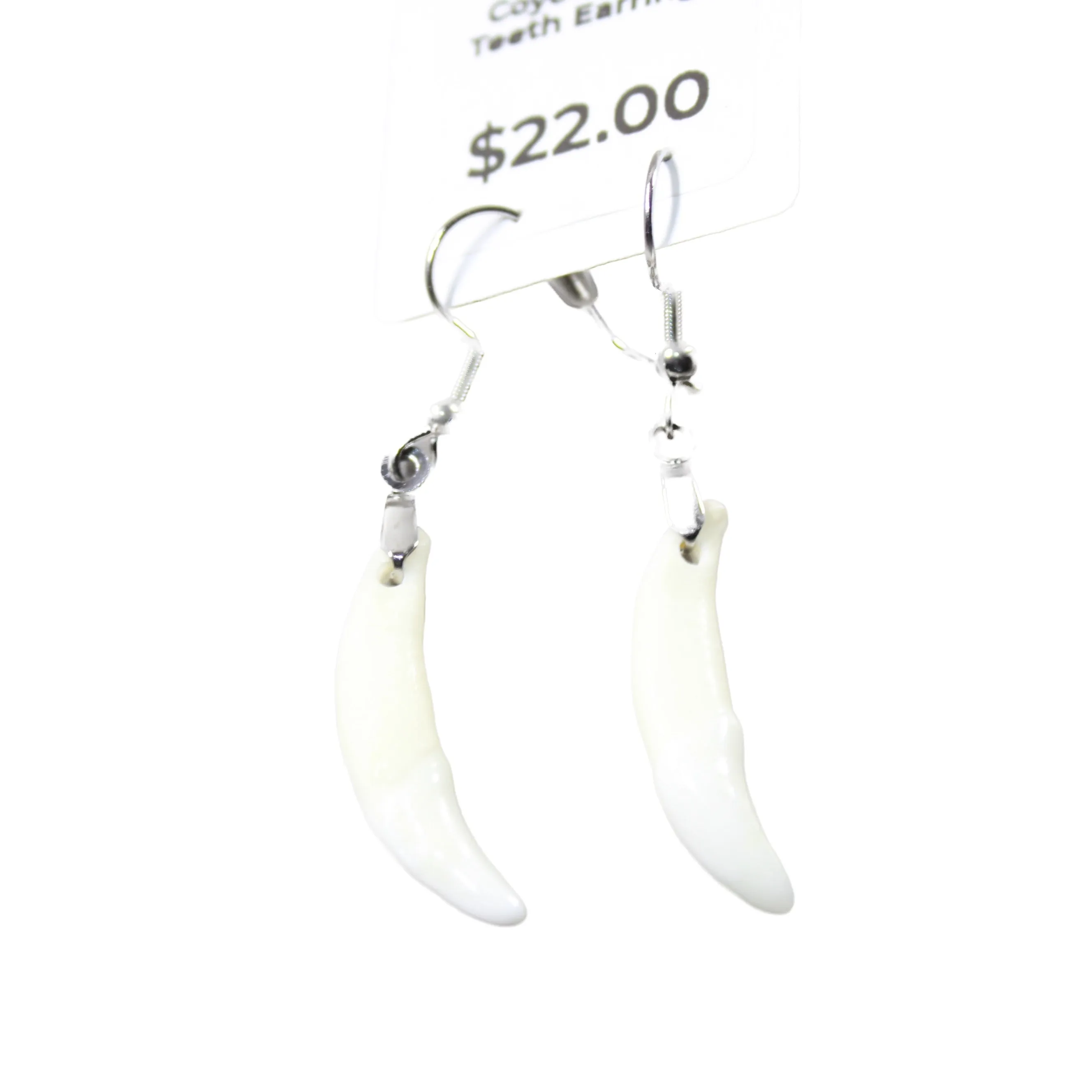 Coyote Teeth Earrings  #6151  Mountain Man Earrings