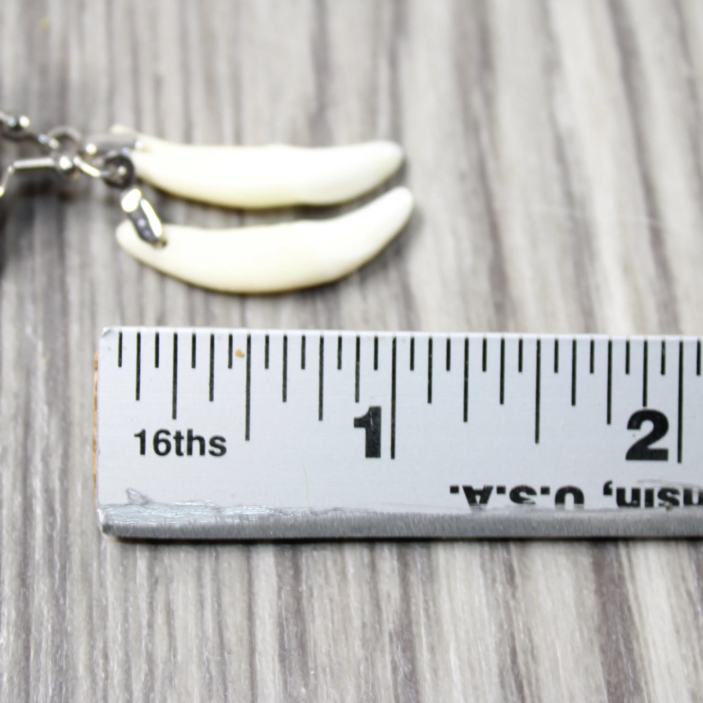 Coyote Teeth Earrings  #6151  Mountain Man Earrings