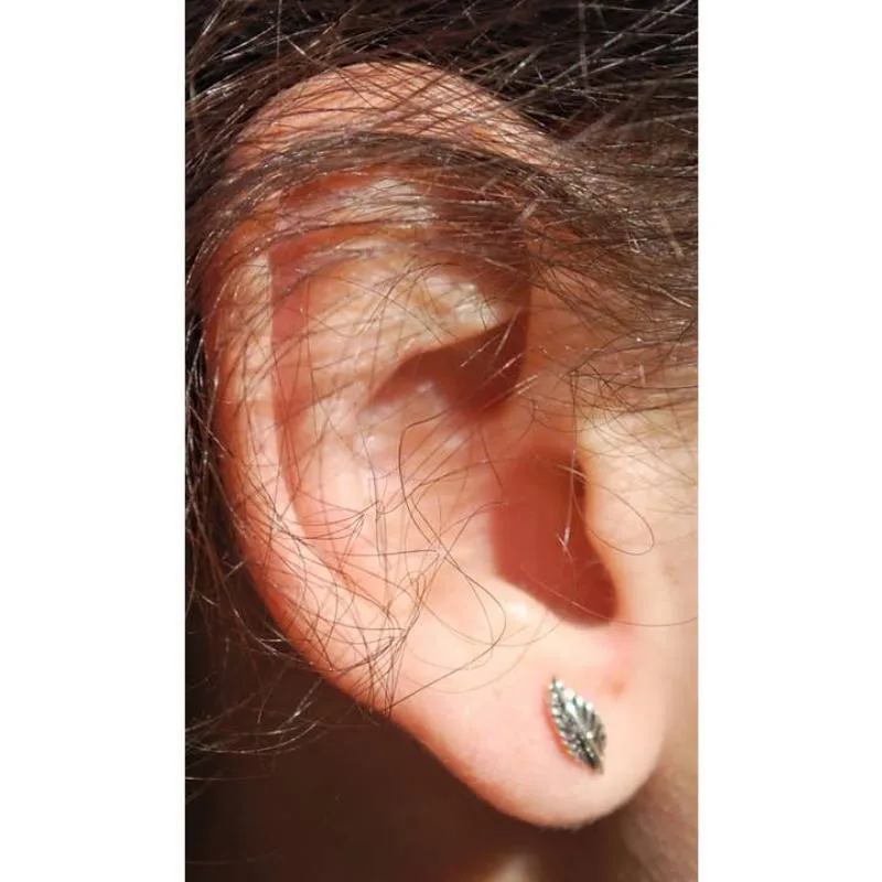 Feather Stud Earrings in Sterling Silver