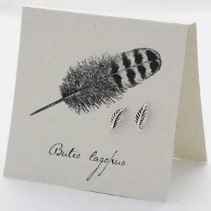 Feather Stud Earrings in Sterling Silver