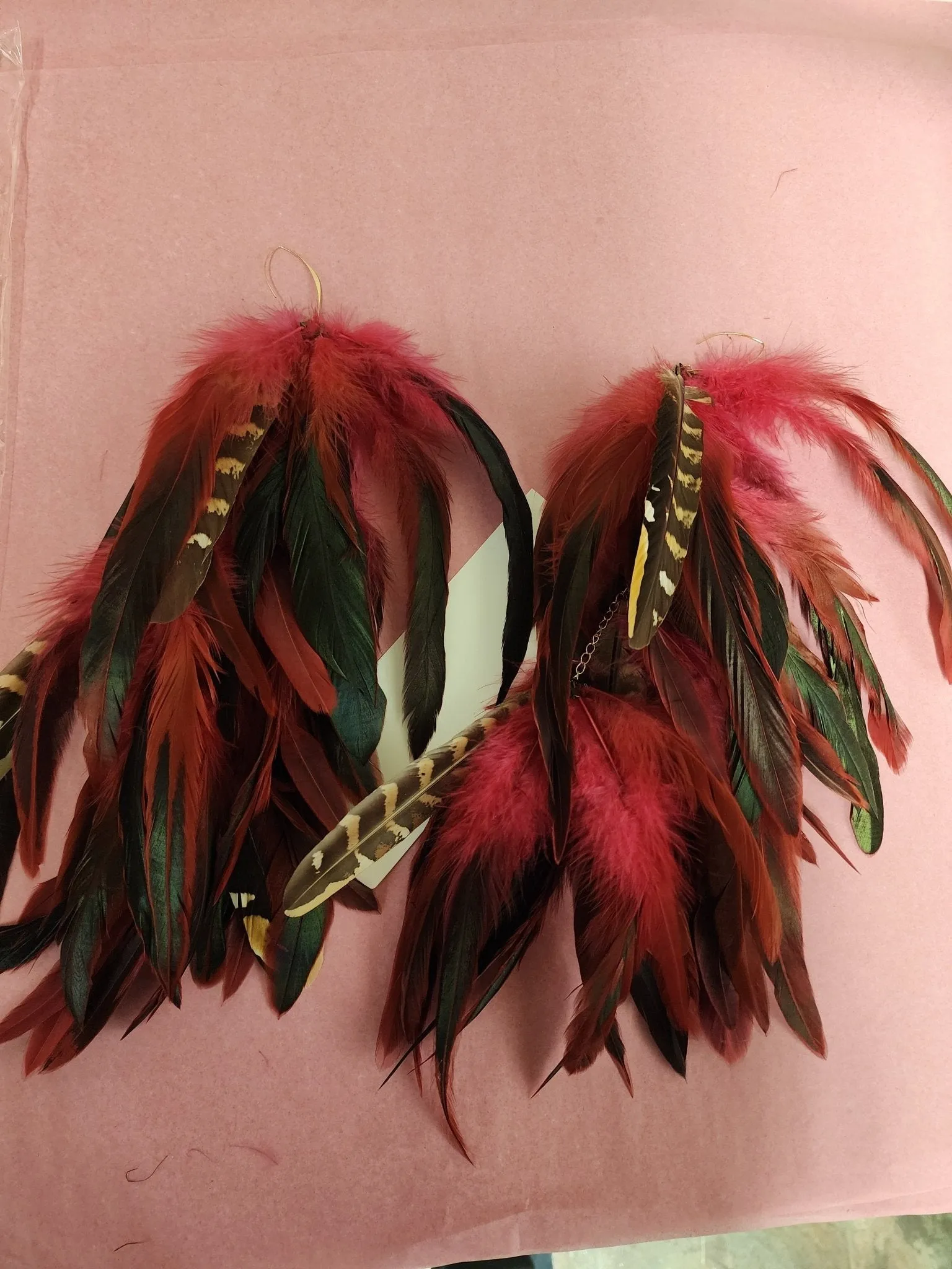 Long Feather Earrings