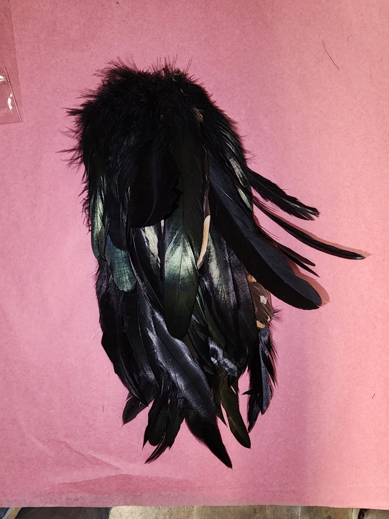 Long Feather Earrings