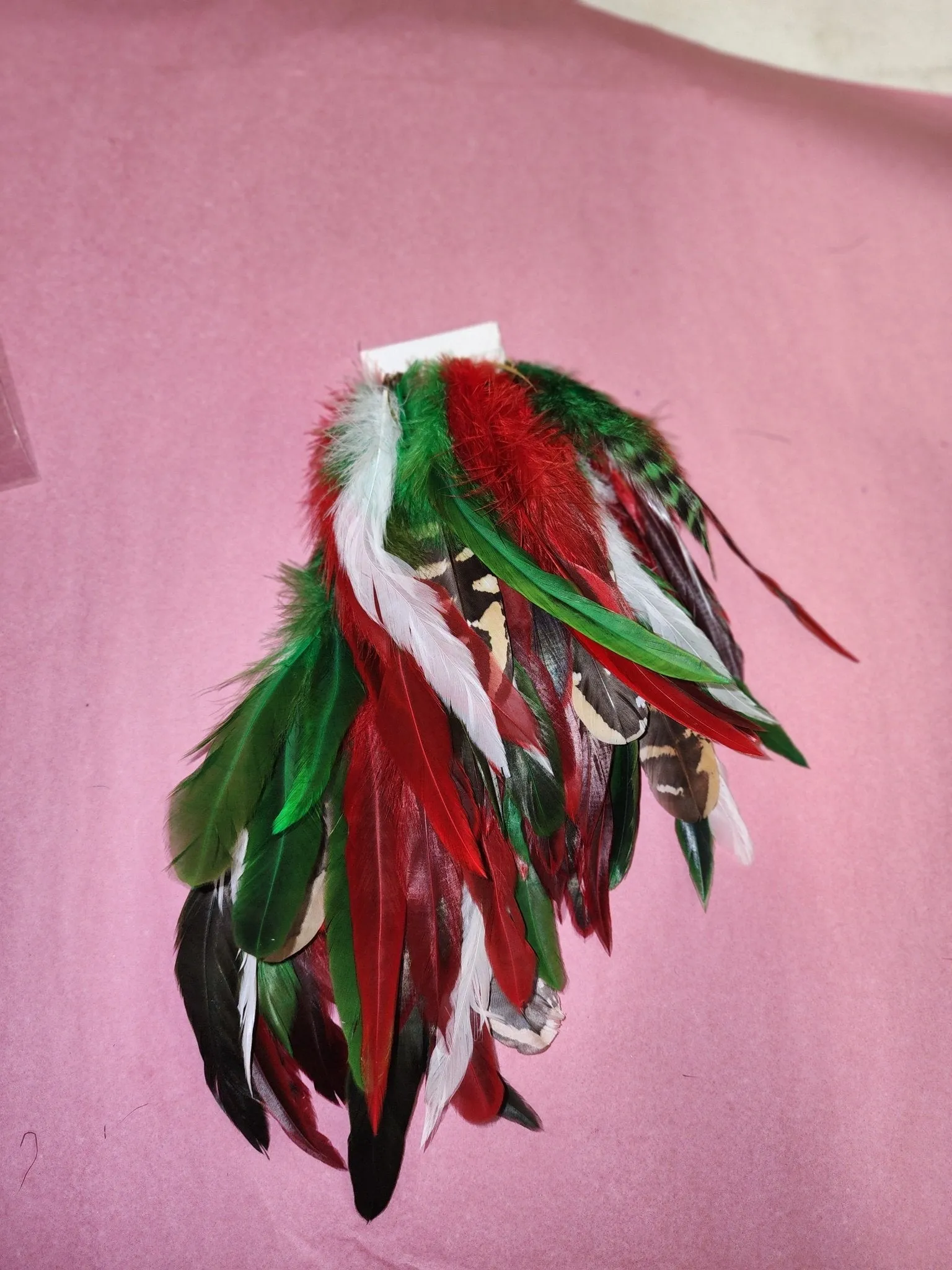 Long Feather Earrings