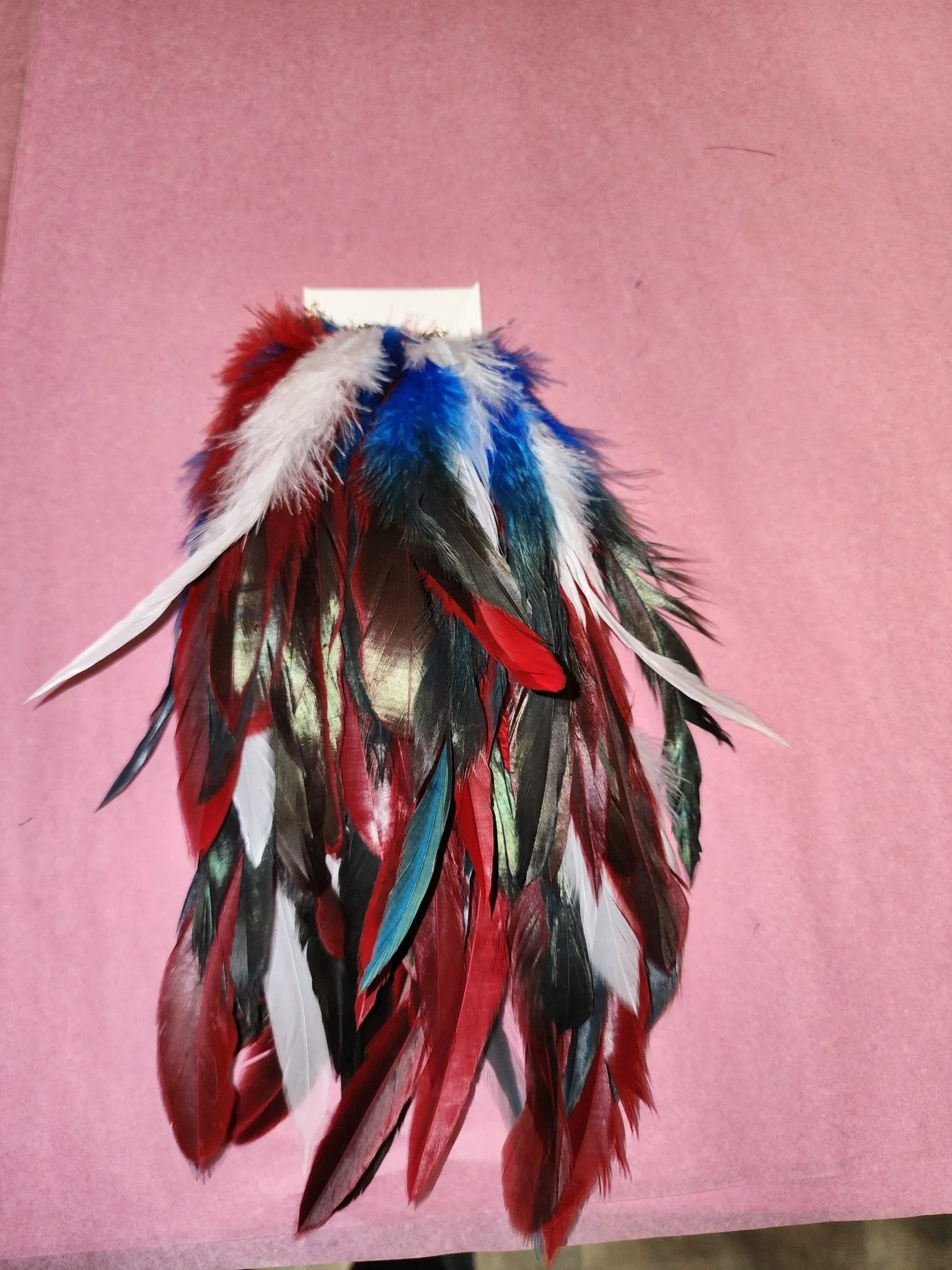 Long Feather Earrings
