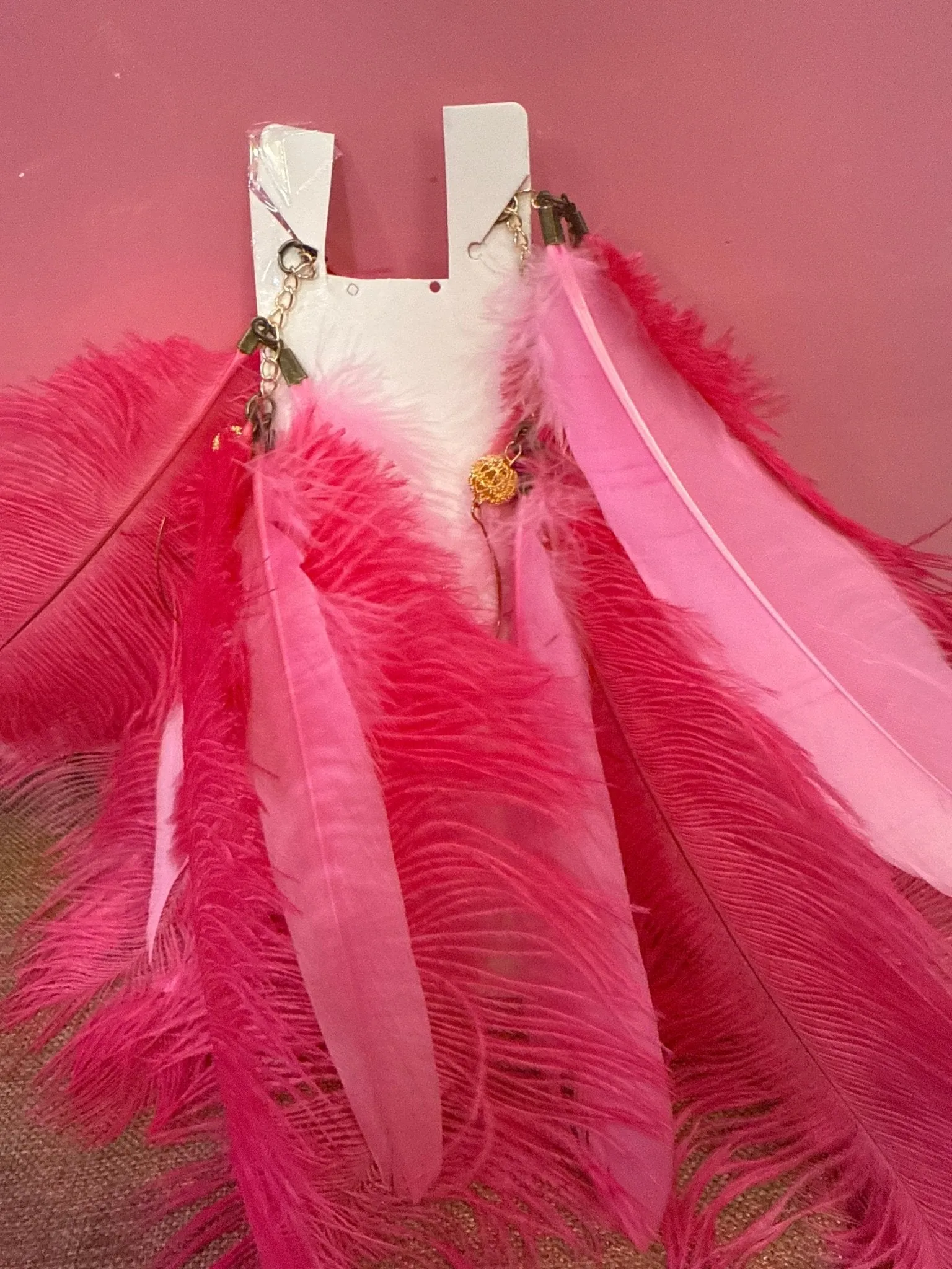 Long Feather Earrings