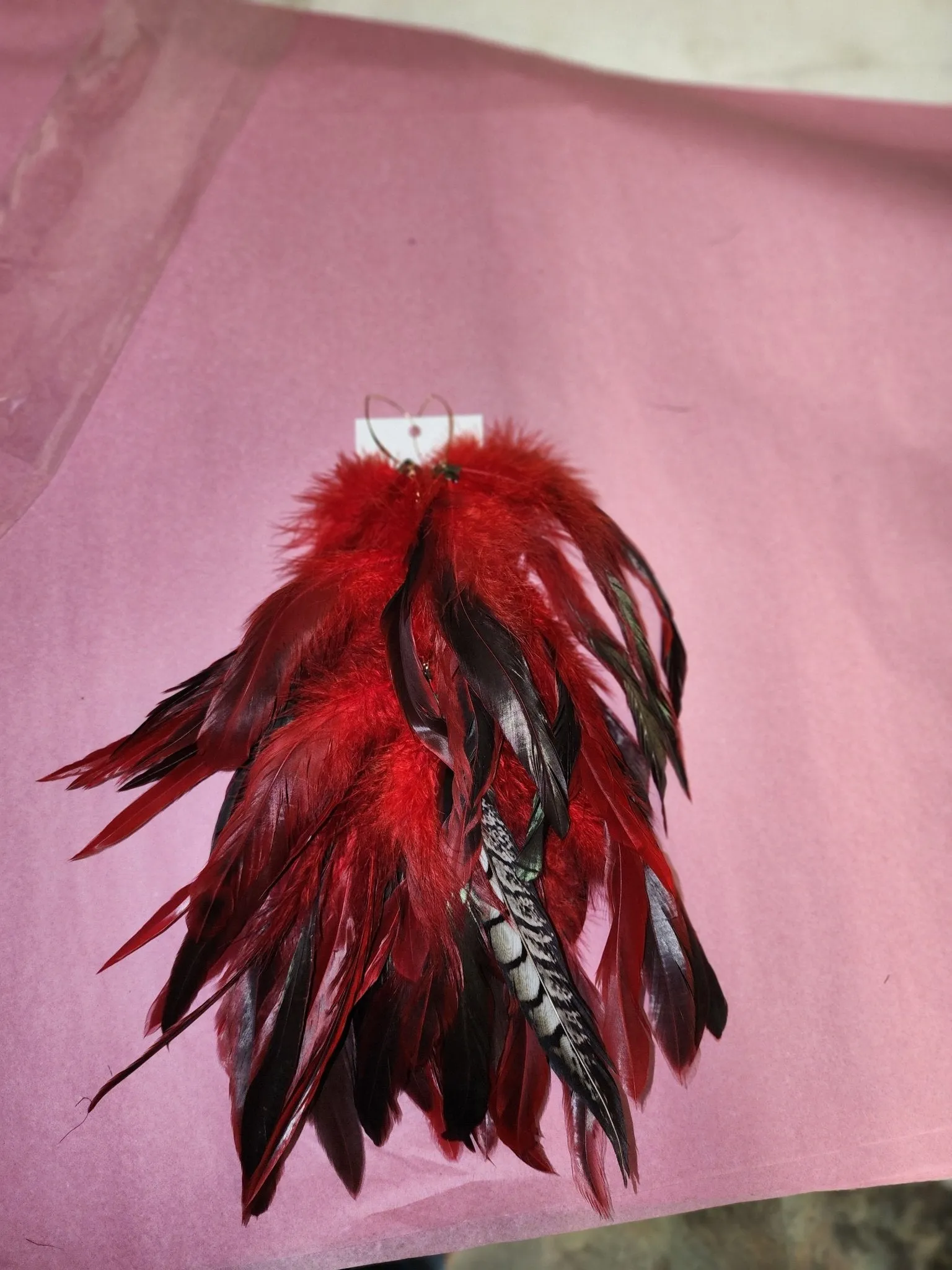 Long Feather Earrings