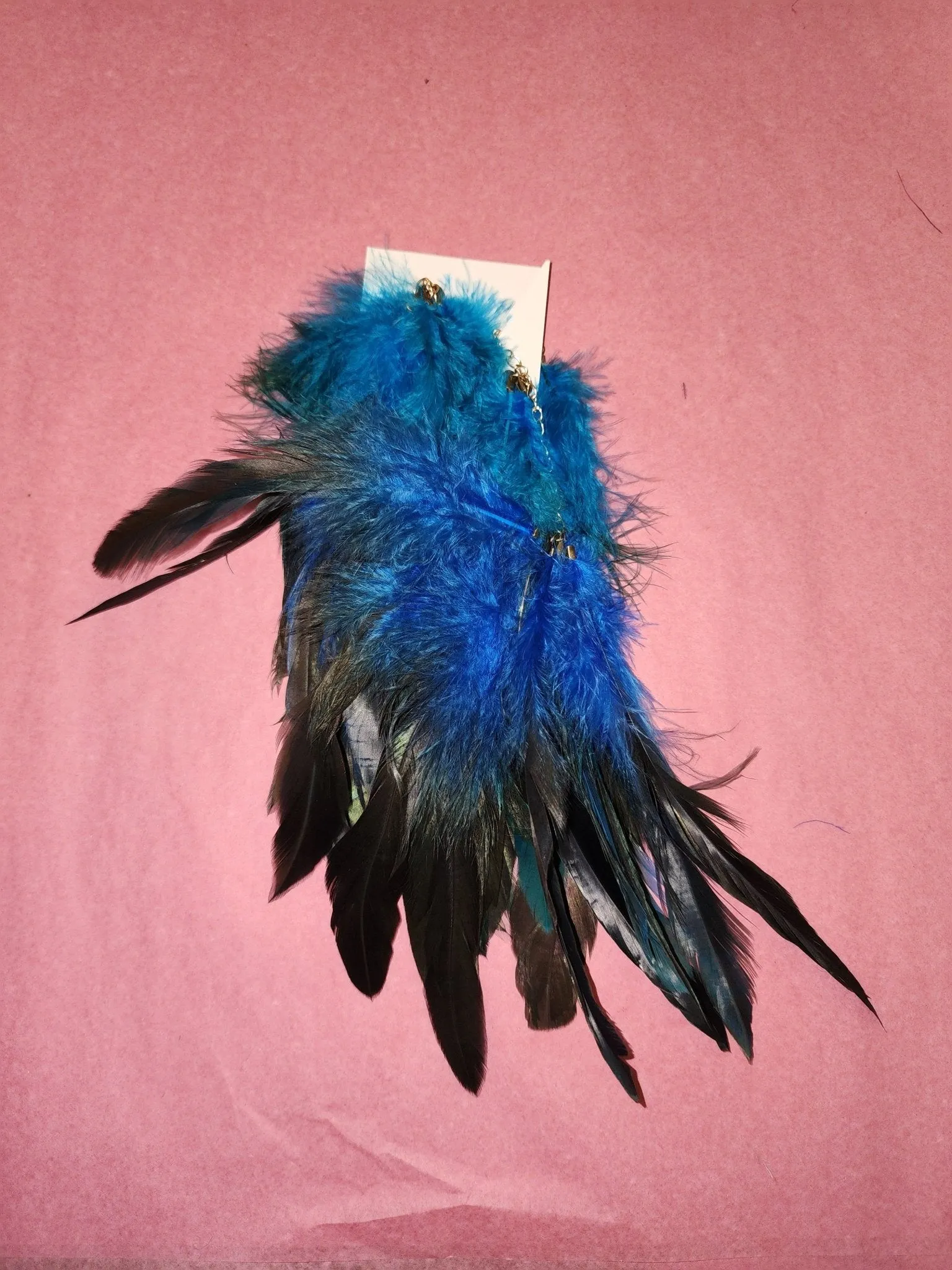 Long Feather Earrings