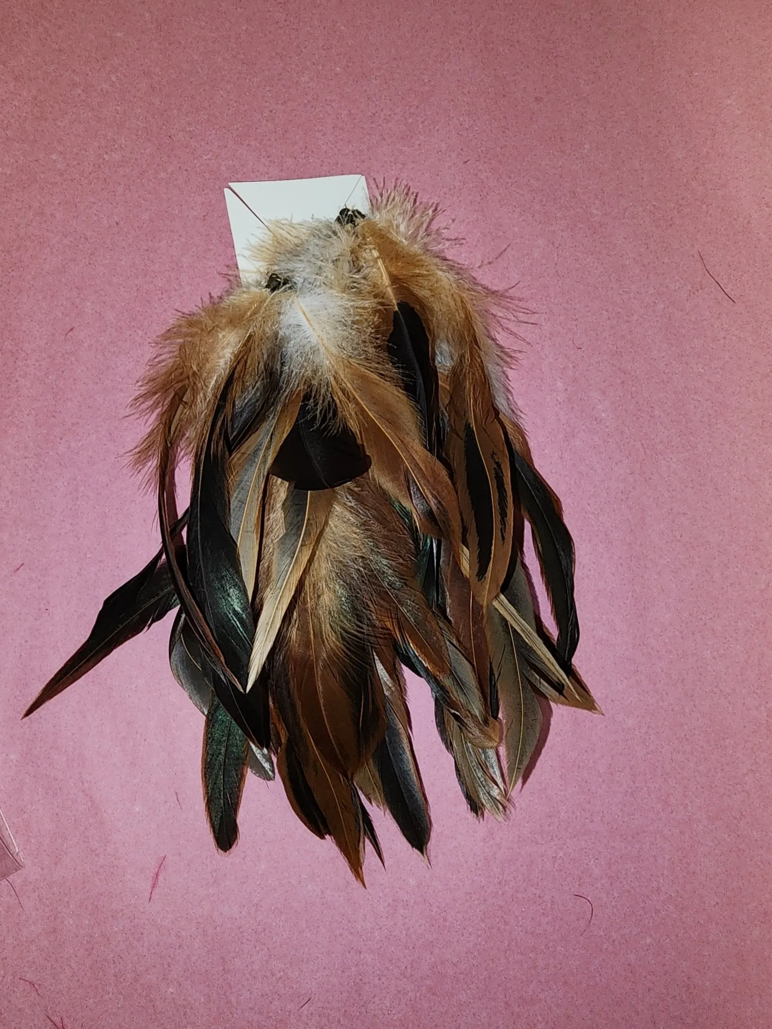 Long Feather Earrings