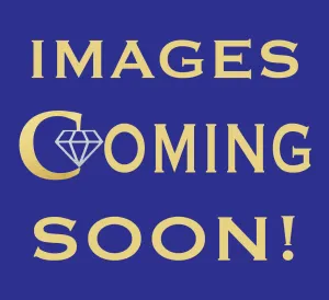 MINT 2018 PAPERS Mark 2 Rolex Red Sea-Dweller 43mm 50th Anniversary 126600 Watch