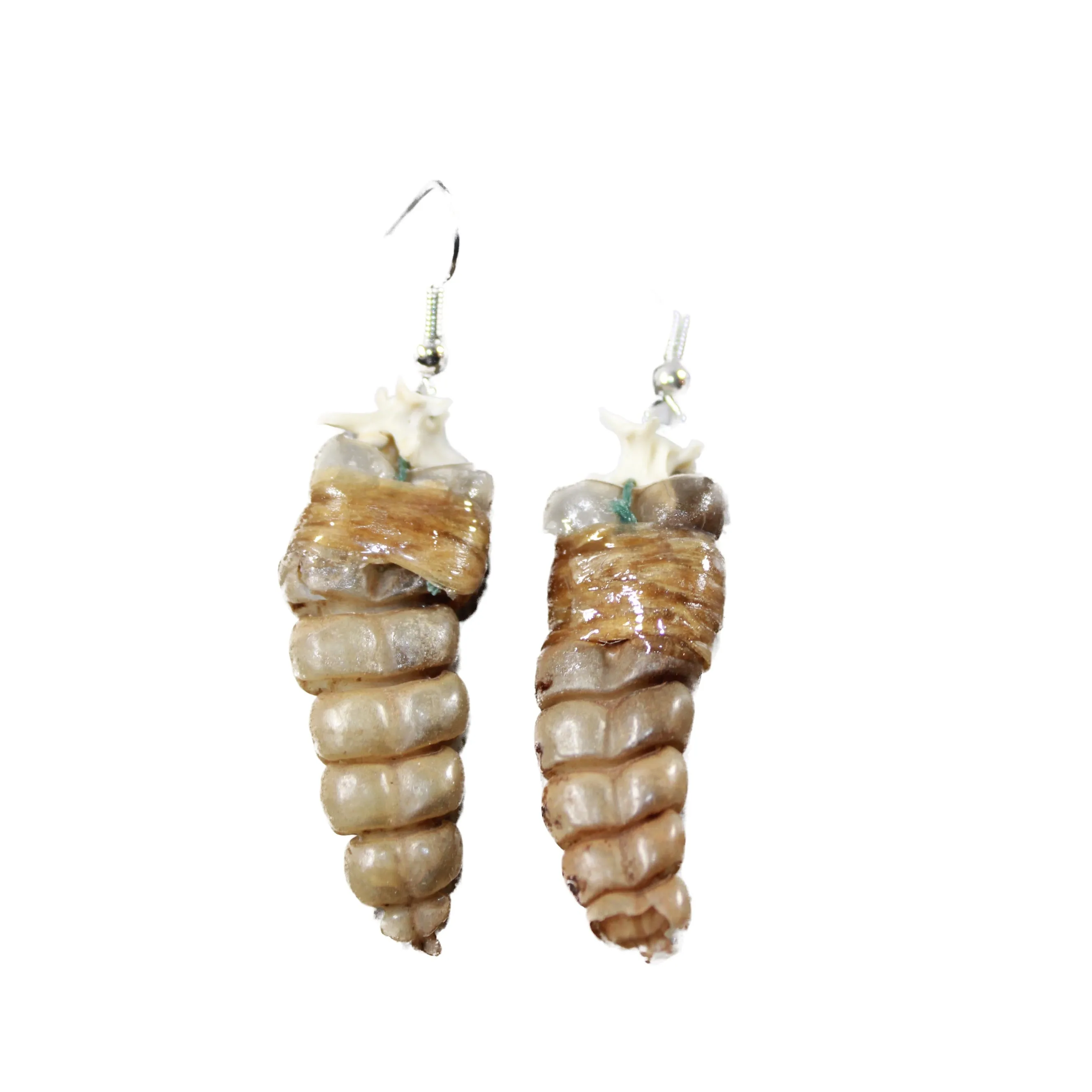 Rattlesnake Rattle Earrings  #4740  Mountain Man Earrings