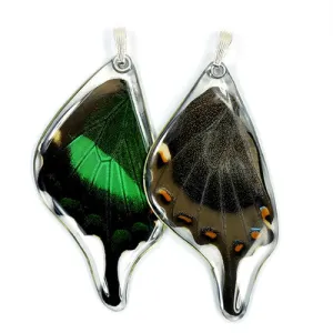 Real Butterfly Wing Pendant Only, Emerald Swallowtail, Bottom Wing