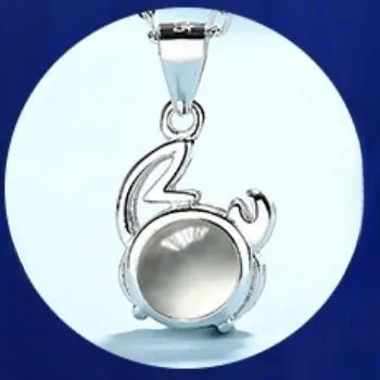 Twelve Constellations Love Memory Projection Necklace
